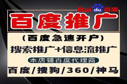 成功企业SEM竞价代运营案例研究